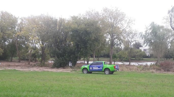 Pidieron frenar una “deforestación” y tuvo que intervenir  Ambiente
