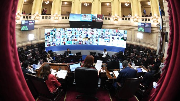 Aprueban el proyecto para pagar la deuda  al FMI con los dólares fugados