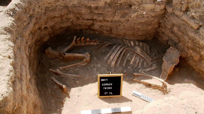 Descubren la "ciudad dorada perdida", de 3.000 años de antigüedad