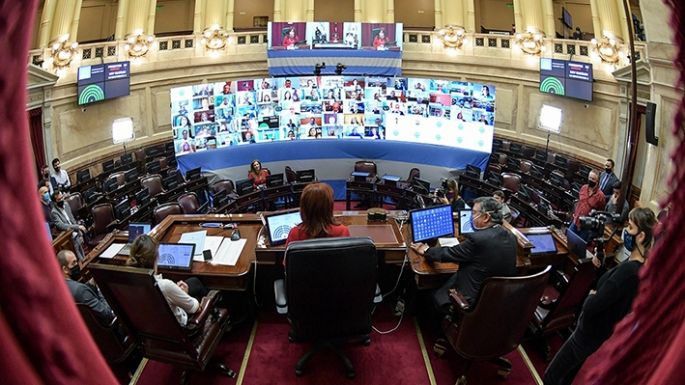 El Senado debate en sesión el proyecto con medidas para combatir la pandemia