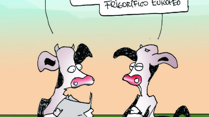 Humor 19/05/2021