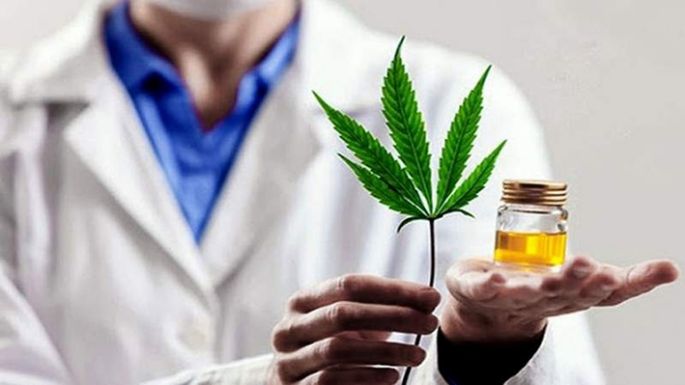 Oficializaron el uso de cannabis
