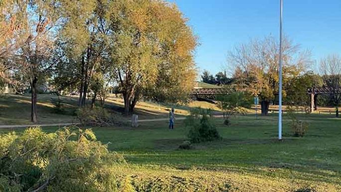 Limpieza y forestación en distintos puntos