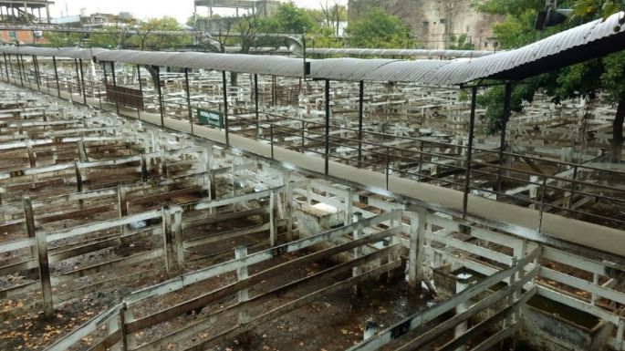 La Mesa de Enlace extiende cese de comercialización de hacienda hasta el miércoles