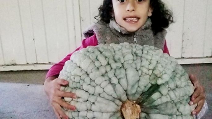 Un zapallo de 25 kilos
