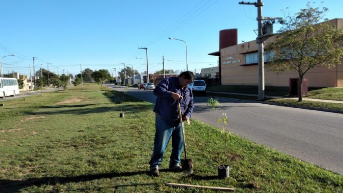 El municipio plantó cerca de 130 árboles y plantines en distintos sectores de la ciudad