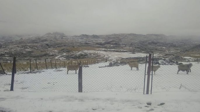 Tras un fin de semana de calor, nevó en las Sierras
