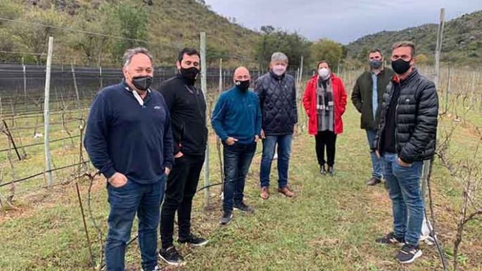 Finca y bodega villamarienses en la ruta cordobesa del vino