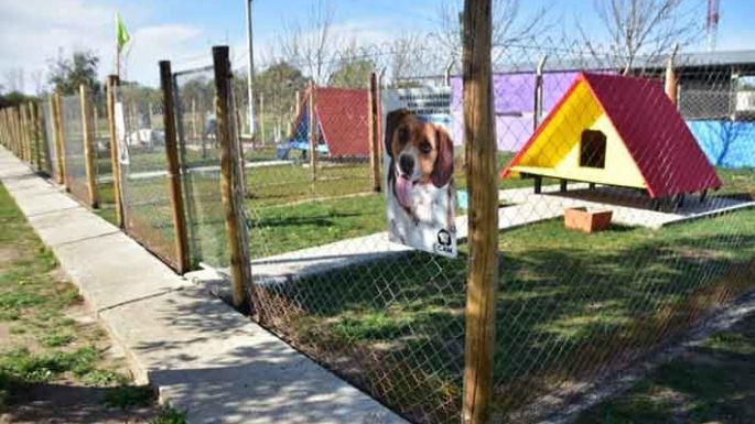 Reclamo e indignación por la falta de castraciones