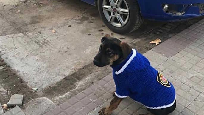Un “callejero” se incorporó a la Policía