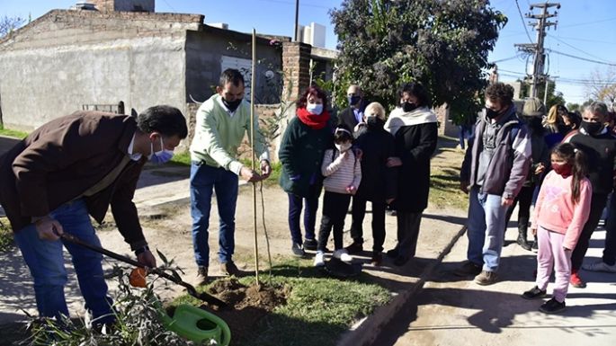 Tres cuadras pavimentadas