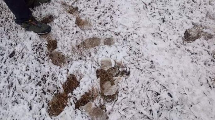 También cayó nieve en Hernando y la región