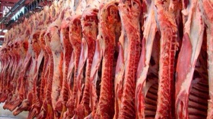 Nuevo cupo para carnes
