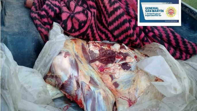 Entre rejas por transportar un animal faenado y sin papeles