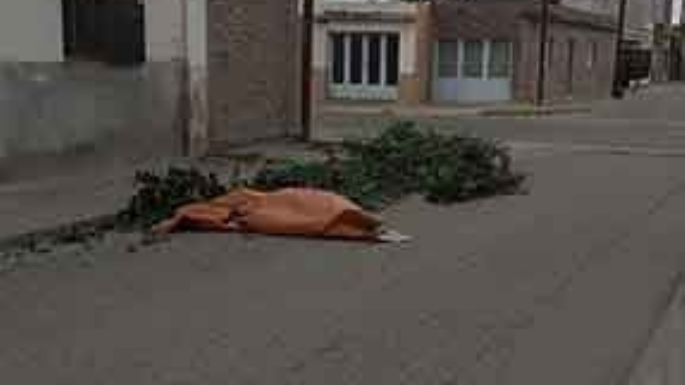 Vecinos contra vecinos por la basura