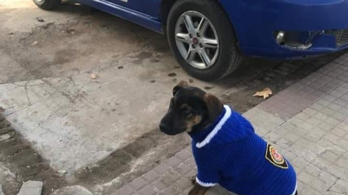 La comisaria de Tancacha adoptó a un cachorro abandonado
