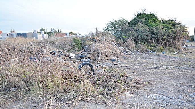 Reiterado reclamo por la limpieza de un terreno