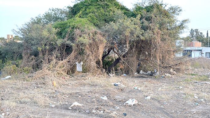 Reiterado reclamo por la limpieza de un terreno