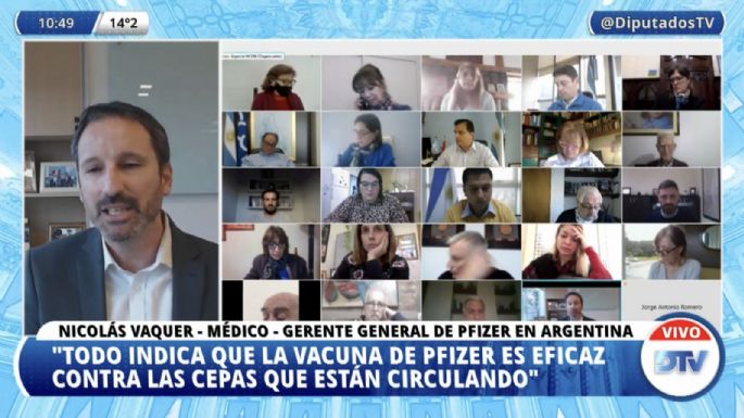 Diputados: Pfizer desmintió "pagos indebidos" y dijo que siguen negociando con Argentina