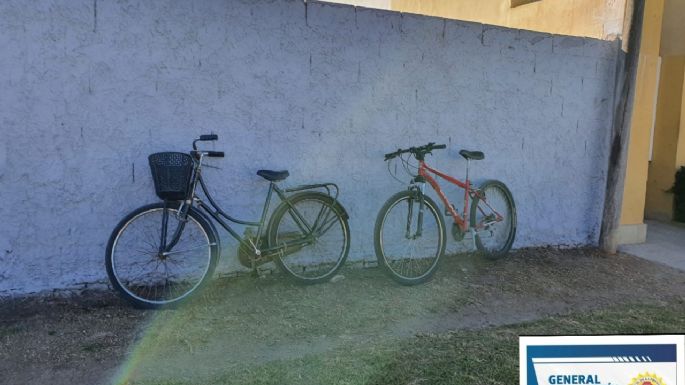 Dos jóvenes detenidos por robarse una bici de dama