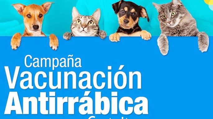 Vacunación antirrábica gratuita