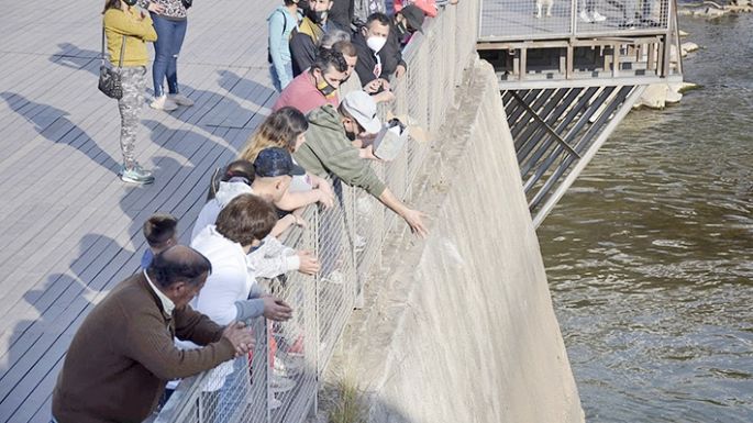 Esparcieron las cenizas de Canario Ludueña en las compuertas del Balneario
