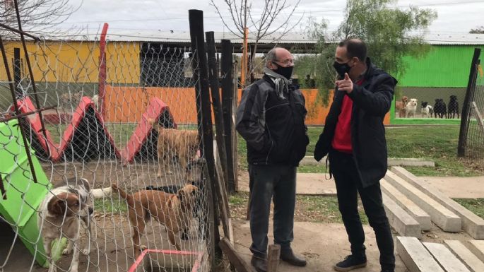 En la primera mitad de 2021, el CAM realizó cerca de 200 adopciones y 1.600 castraciones