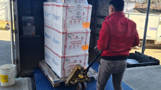 Llegaron a Córdoba 74.760 dosis de Moderna para vacunar a niños y adolescentes