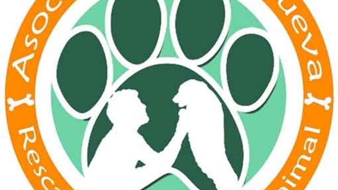 Historias de animales