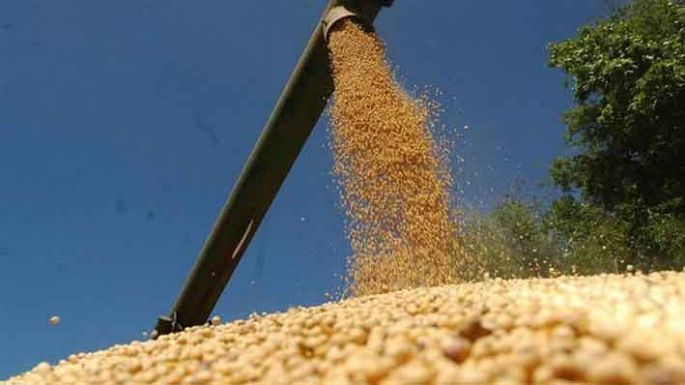 De cada 10 dólares que ingresan al país, siete se explican en el campo