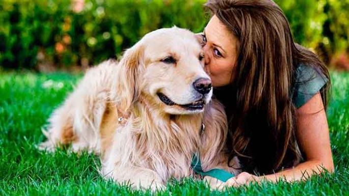 El idioma de de nuestros perros