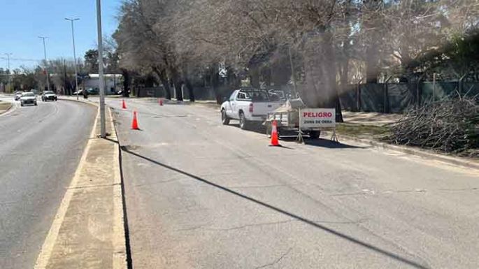 Trabajos sobre la Carranza