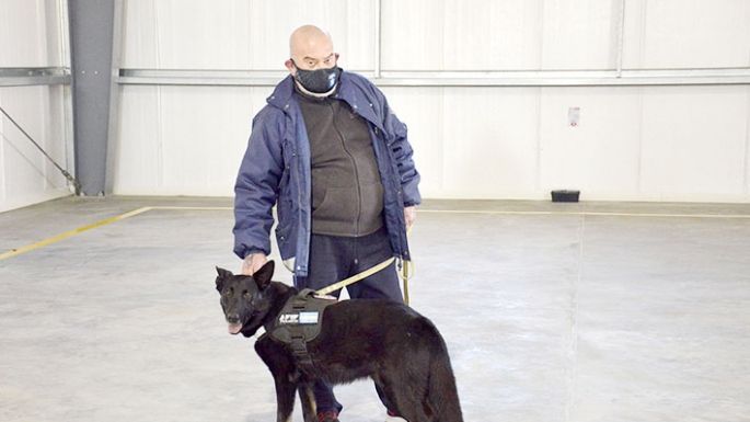 Llaryora presentó un proyecto para modificar la tenencia de “perros peligrosos”