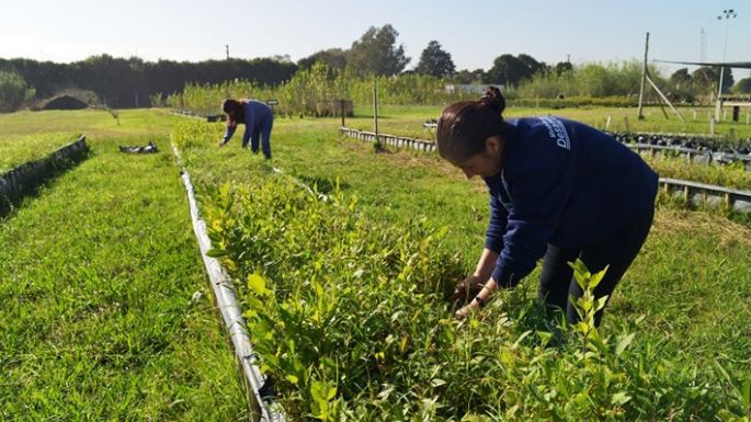 Créditos para pequeños productores