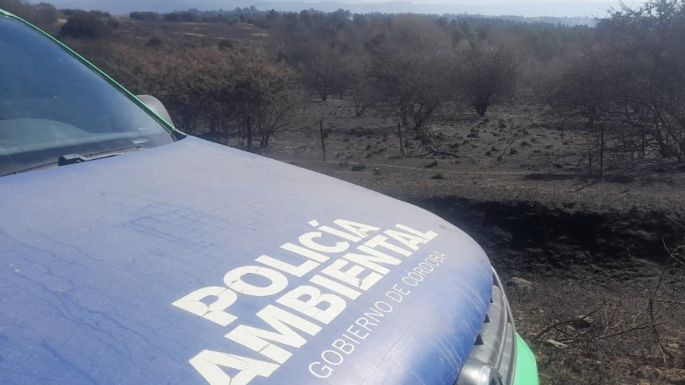 Comenzó el relevamiento de daños tras los incendios
