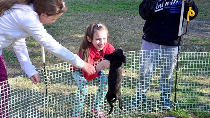 El CAM hará nueva campaña de adopción responsable en la costanera