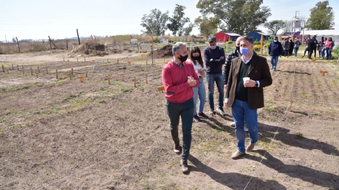 Escuela Granja: 35 familias podrán cultivar sus propias huertas