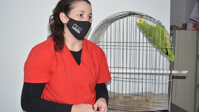 Por amor a los animales