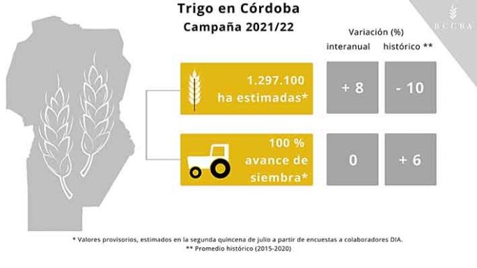 El impacto de las heladas en el trigo