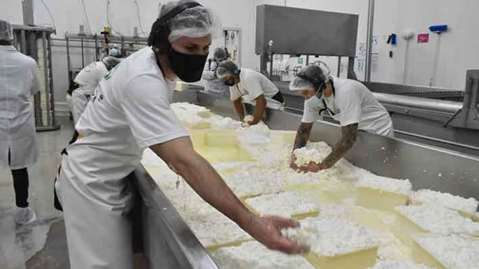 Un sector en constante crecimiento