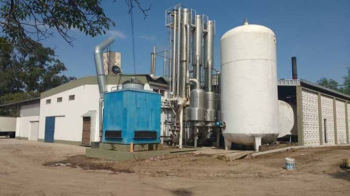 Un sector en constante crecimiento