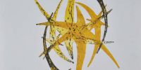 DI MATTIA, MARCOS. “SIN TÍTULO”. COLLAGRAPH. 25 X 35 CM. 2007