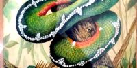 Artista: Nelia Livetti