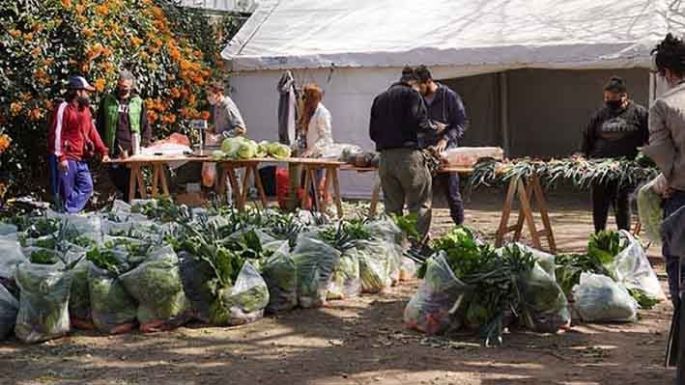 Bolsones de frutas y verduras y algo más