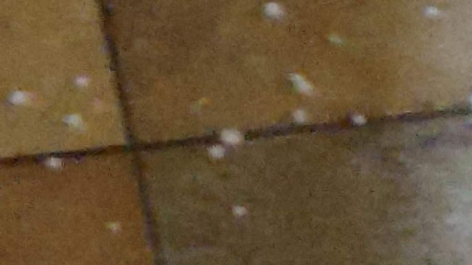 Fotos de lectores - ¿Cómo se sintió el granizo en cada barrio?