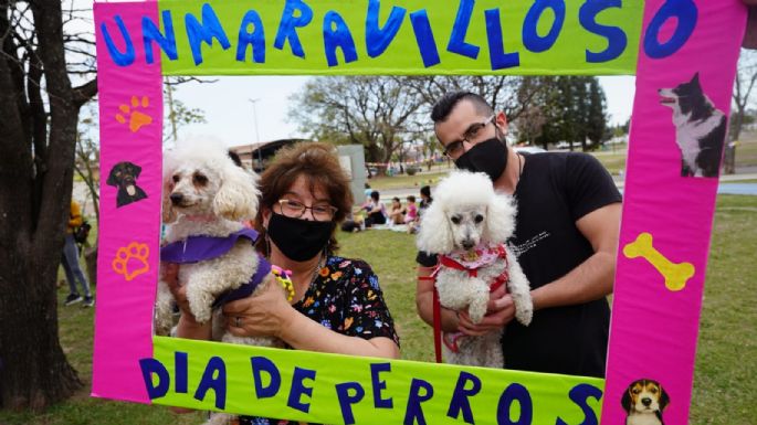 Una exitosa “tarde de perros”