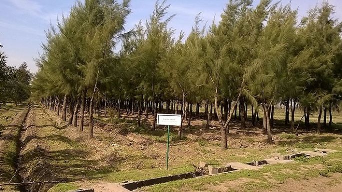 La Capyclo obtuvo la eximición y saldó una deuda de su campo