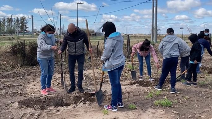 Crean una barrera forestal ambiental