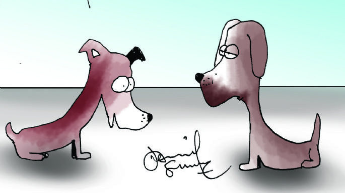 Humor 23/09/2021