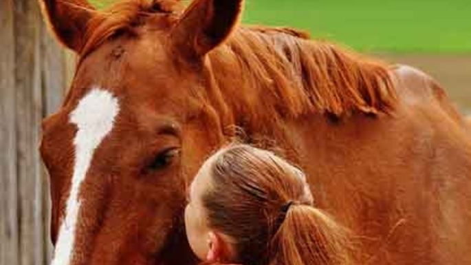 Caballo en su semana